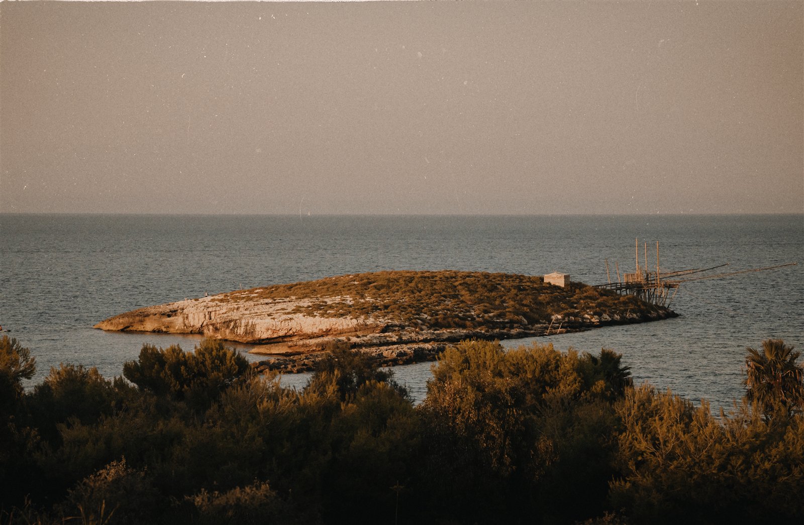 A small green island in calm sea water at dusk, seen over treetops