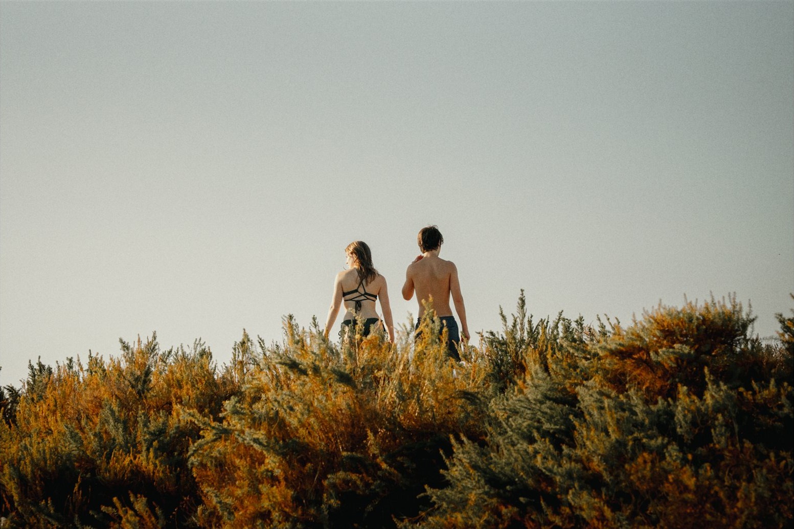 A couple seen from behind standing in tall golden grass